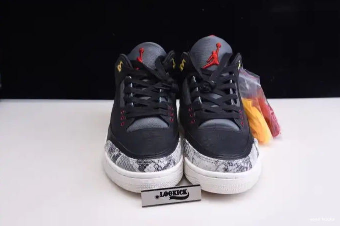 Rep Air Retro 3 Animal SE CV3583-003 Jordan 2.0 Instinct - 0512
